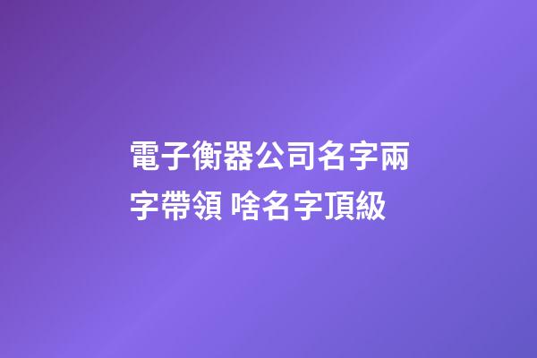 電子衡器公司名字兩字帶領 啥名字頂級-第1張-公司起名-玄機派
